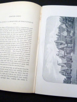 The Autobiography of Hamlet Nicholson (1892, first edition)