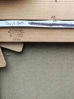 Sky Gazer by David Holt (2001)