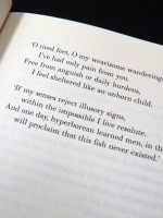 Nabi (signed by Elizabeth Gili)