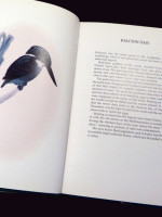 Kingfishers of the World (Signed first edition)