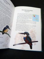 Kingfishers of the World (Signed first edition)