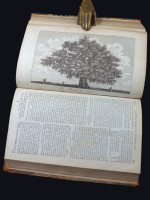 The Gentleman's Magazine, Volume LXIV, January to June 1794