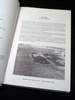 Twilight of the Pistons (Signed first edition)