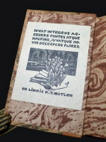 Voyages en Am&eacute;rique, en Italie, au Mont Blanc