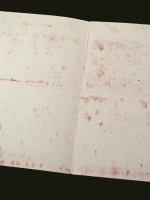 Marie Lloyd, music hall singer, signed handwritten letter