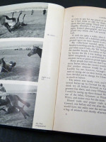 The Sport of Queen (1957, first edition)