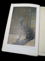 White Fang (1907, first UK edition)
