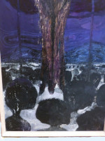 Flayed Deer : New Mexico : USA (1959)