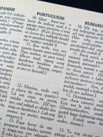 Guide to 25 Languages of Europe (1932, first edition)