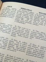 Guide to 25 Languages of Europe (1932, first edition)