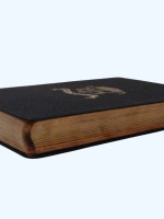 Cambridge Companion to the Bible (1920)