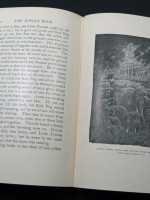 The Jungle Book (1924) & The Second Jungle Book (1923)