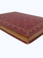 Cupid and Psyche and Other Tales from the Golden Ass of Apuleius (1904)