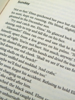 Girls Who Lie (Signed first edition)