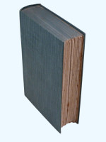 In His Own Image (1924, new edition)