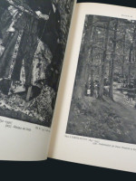One Hundred Modern Foreign Pictures in the Tate Gallery (1947)