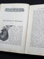 Friends and Foes from Fairy Land (1886, first edition)
