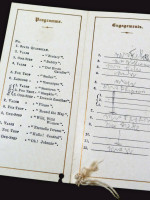 Viceroy of India State Ball invitation and dance card 1919
