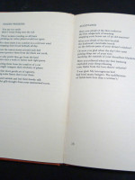 A Man in Winter (1972, signed first edition)