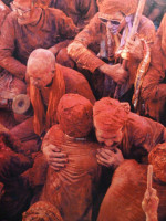 Celebrating Krishna (Signed first edition, 2001)