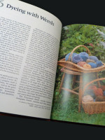 A Dyer's Manual