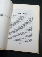 The Autobiography of Marika Palaisti
