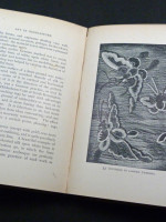 Art in Needlework, A Book about Embroidery (1901)