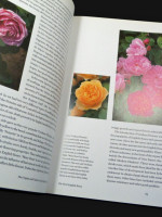 The English Roses (2011, signed second edition)
