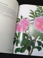 The English Roses (2011, signed second edition)
