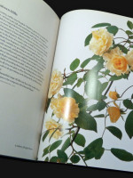 The English Roses (2011, signed second edition)