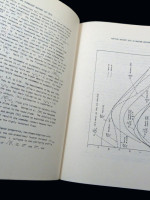 Vertical Turbulent Buoyant Jets, A Review of Experimental Data