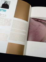 The First Yinchuan Biennale; For an Image, Faster than Light