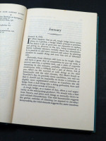 In Your Garden Again (1953, first edition)