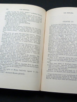 Pan Michael (1895, first UK edition)
