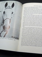 My Dancing White Horses (1965)