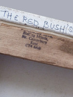 The Red Bush / Studio Window by David Holt (2006)