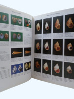 Compendium of Seashells