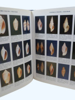 Compendium of Seashells