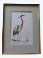 Original painting of a Purple Heron