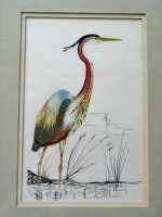 Original painting of a Purple Heron