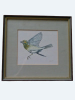 Original painting of a Tree Pipit