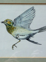 Original painting of a Tree Pipit