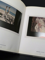 Helmut Newton: Polaroids (2011, first edition)