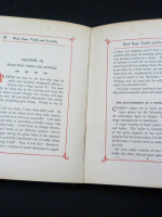 The Amateur Cook (1905, first edition)
