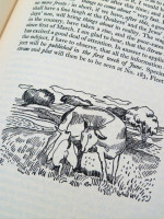 William Cobbett's Rural Rides (three volume limited edition, 1930)