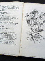 A Garden Flora: Trees and Flowers Grown in the Gardens at Nymans