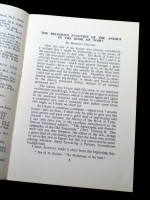 The Religious Function of the Animus in the Book of Tobit