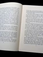 The Religious Function of the Animus in the Book of Tobit