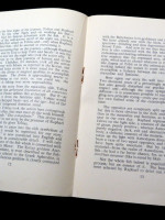 The Religious Function of the Animus in the Book of Tobit