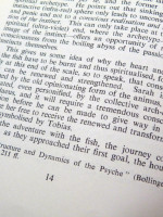 The Religious Function of the Animus in the Book of Tobit